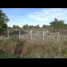 Ein muslimischer Friedhof, wegen des ewigen Ruherechts werden Gräber nicht neu belegt